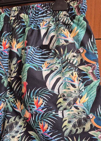 Renkli Baskılı Erkek  Deniz Şortu - Görsel 5