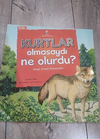 Kurtlar olmasaydı ne olurdu? Tübitak 