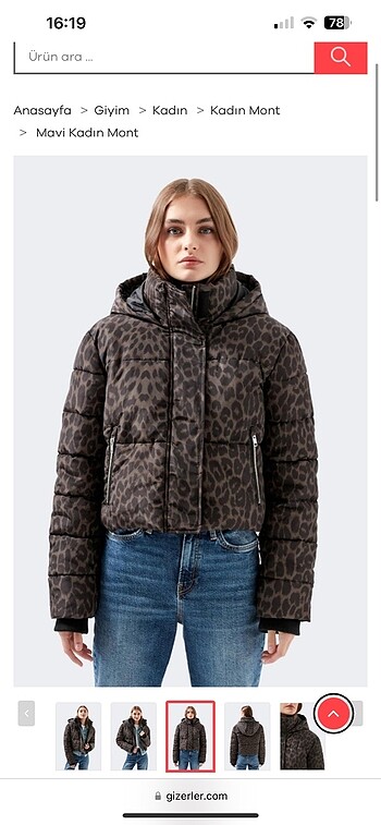 Leopar mont