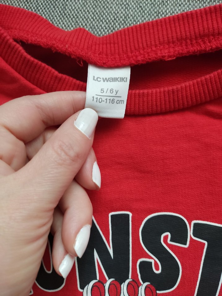 Erkek Çocuk Kırmızı Baskılı Sweatshirt - Görsel 3