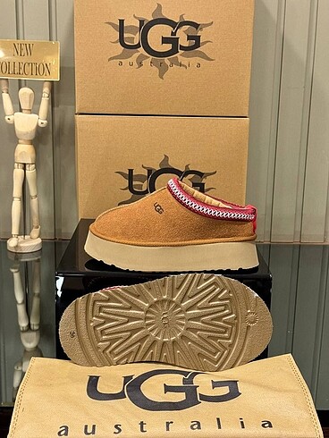 37 Beden Ugg Bot