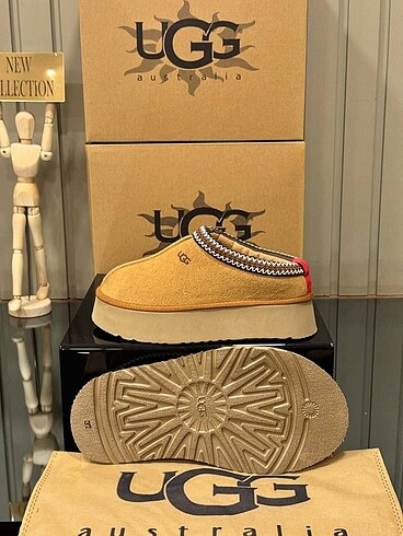 38 Beden Ugg Bot
