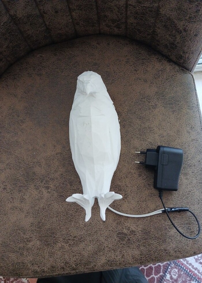 Kartal gece kambasi - Görsel 2