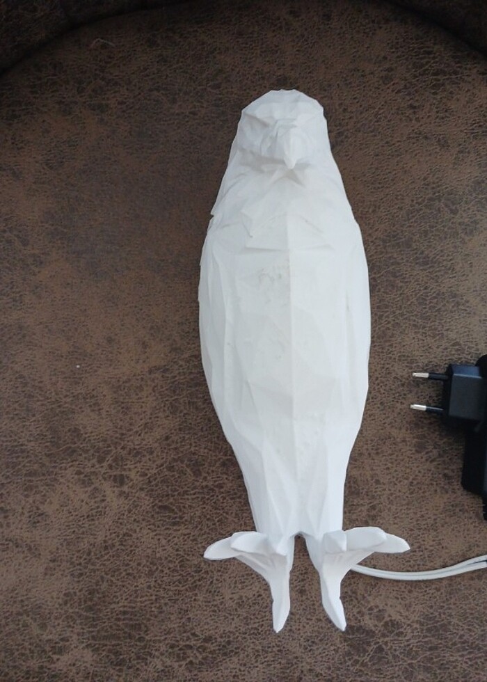 Kartal gece kambasi - Görsel 4