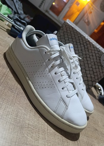 Adidas Beyaz Deri Sneaker