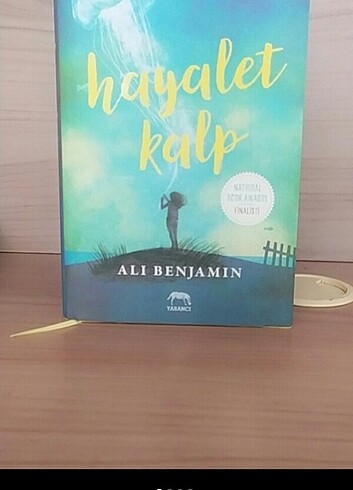 Hayalet kalp
