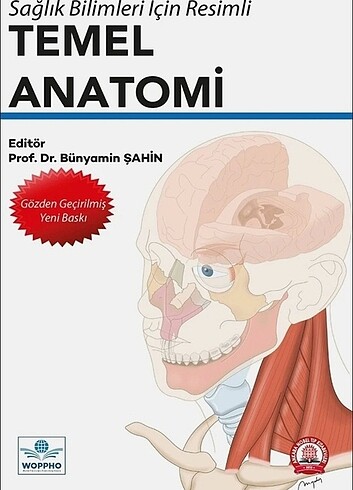TEMEL ANATOMİ