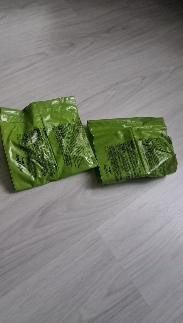 Parlak Yeşil cocuk deniz kolluk - Görsel 4