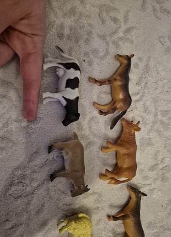 3d hayvanlar