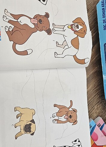 Adeda dikkat güçlendirme seti 2 yaş - Görsel 11