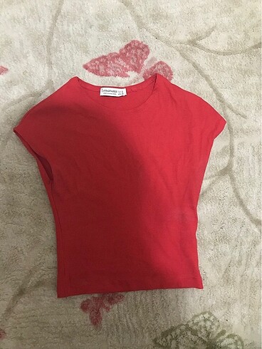 Stradivarius stradivarius crop