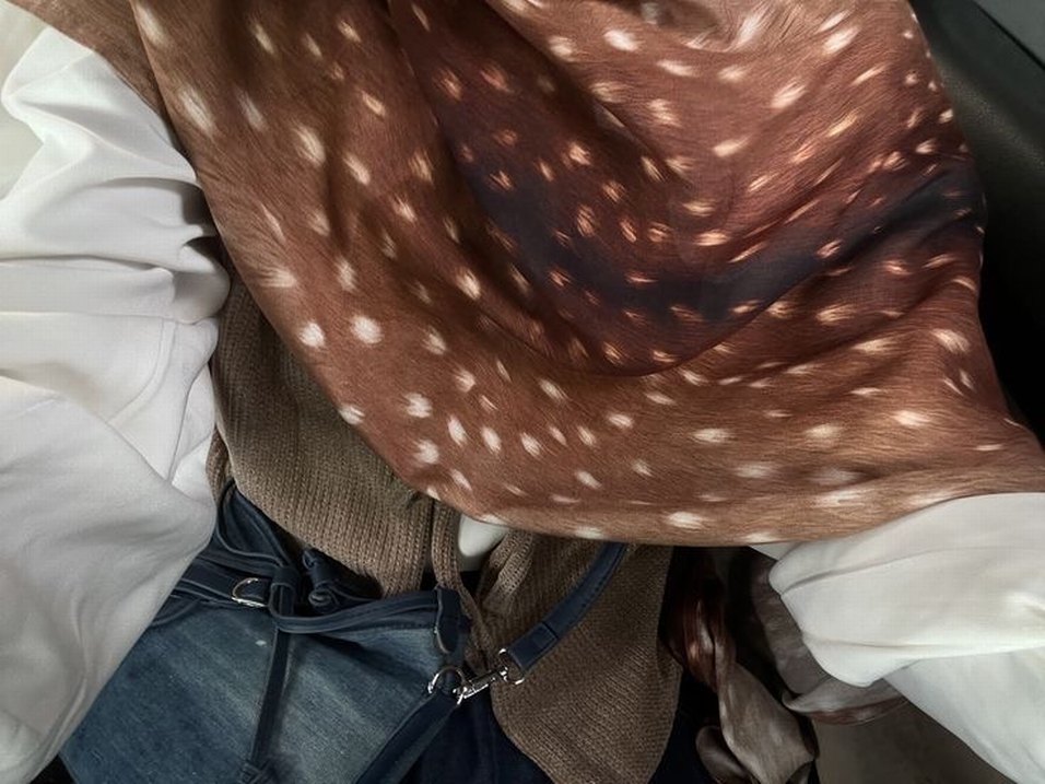 Kahverengi İpek Görünümlü Kadın Şal - Görsel 3