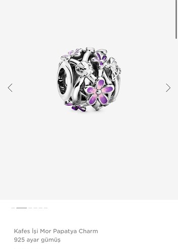 Pandora charm set - Görsel 9