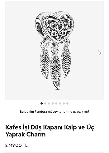 Pandora charm set - Görsel 6