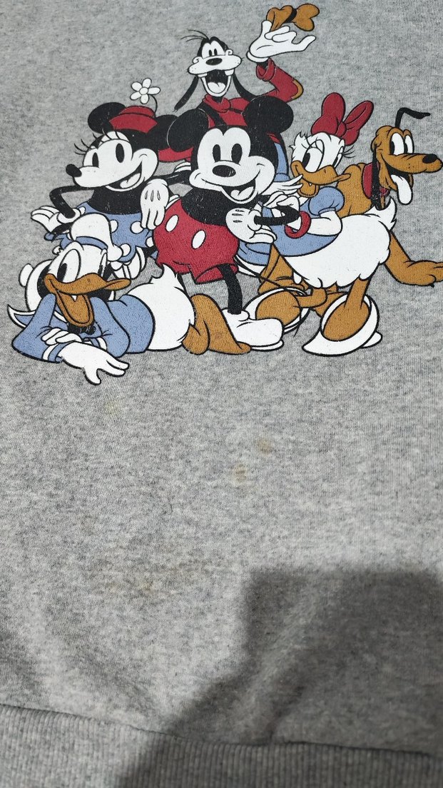 Gri Baskılı Kadın Sweatshirt - Görsel 2