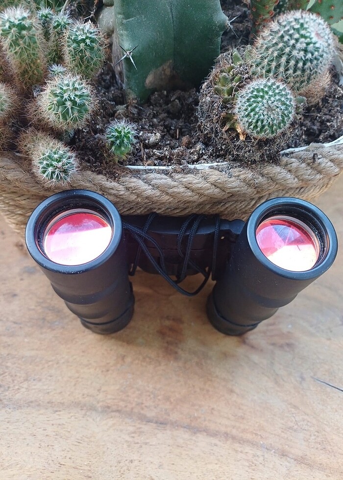 Orijinal Tasco 12x25 Dürbün - Görsel 4