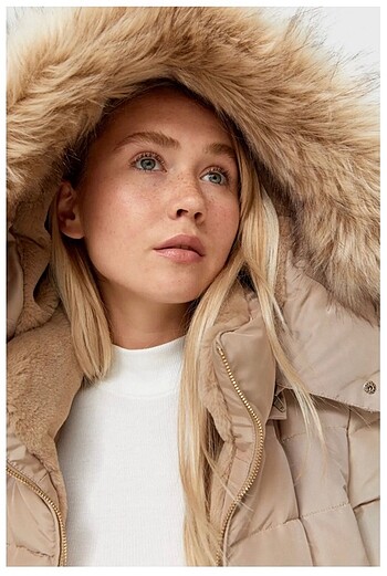 Stradivarius mont