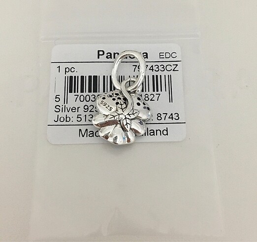 Pandora Pandora charm