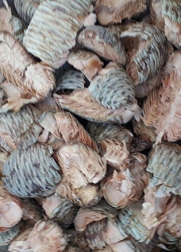 Kozalak 