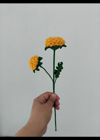 Solmayan kasimpati
