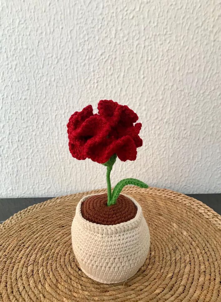 saksida karanfil - Görsel 3