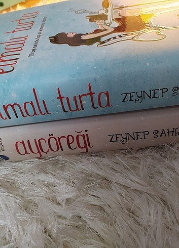 Beden Elmalı Turta/Ayçöreği