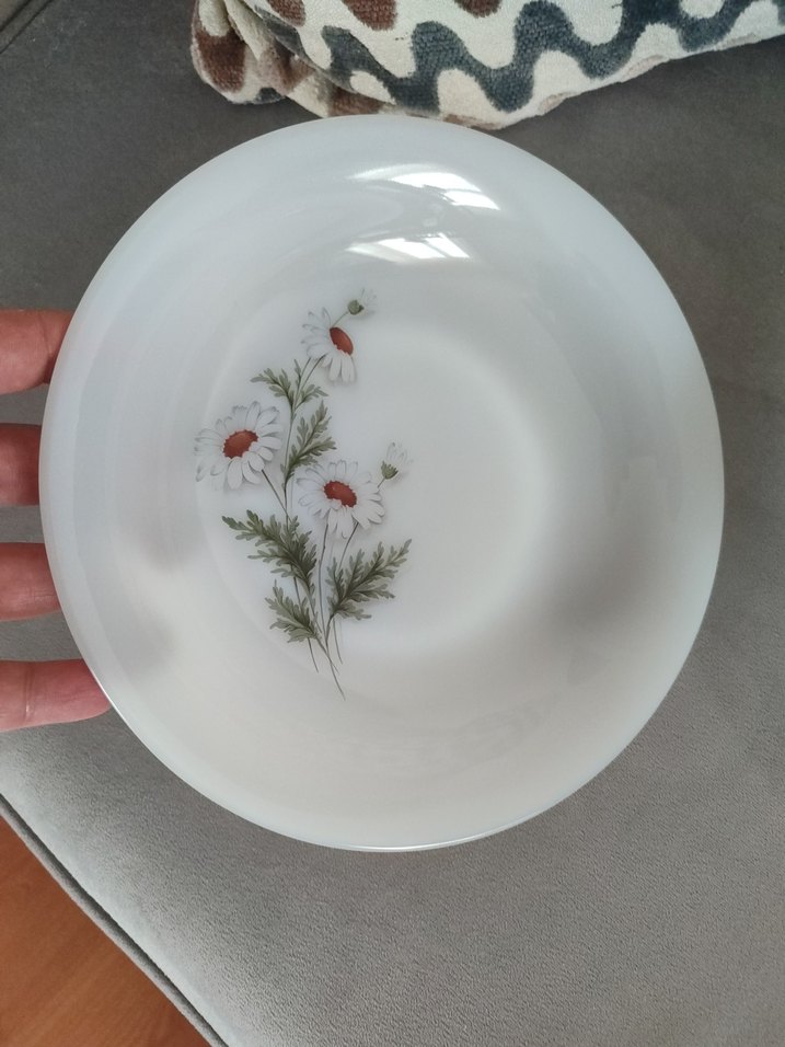 Arcopal Yemek tabakları - Görsel 2