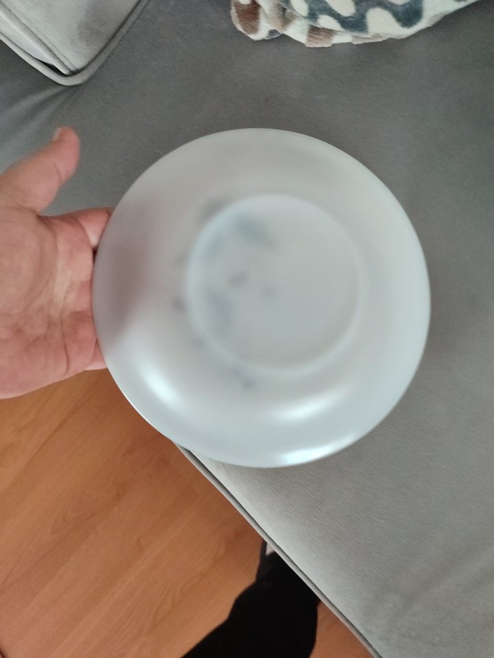 Arcopal Yemek tabakları - Görsel 3