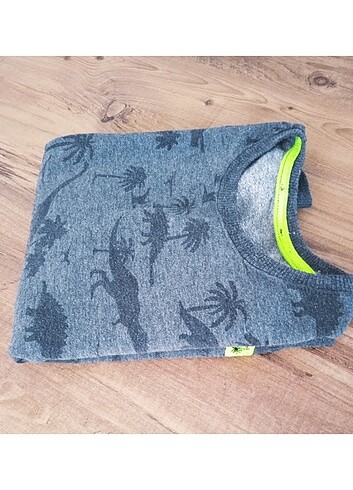 Diğer Erkek çocuk sweatshirt 6 veya 7 yaş için