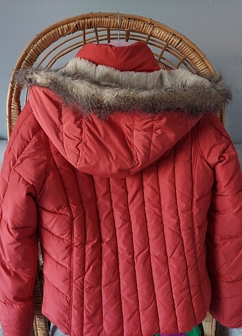 Levis Levis mont