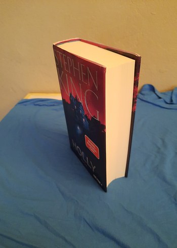  Beden Renk Stephen King'den Holly Romanı almanca