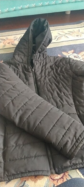 Diğer İnce mont