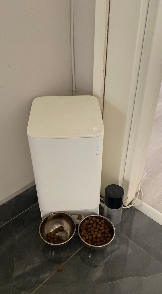 Otomatik Köpek Mama Kabı ve Besleyici - Görsel 2