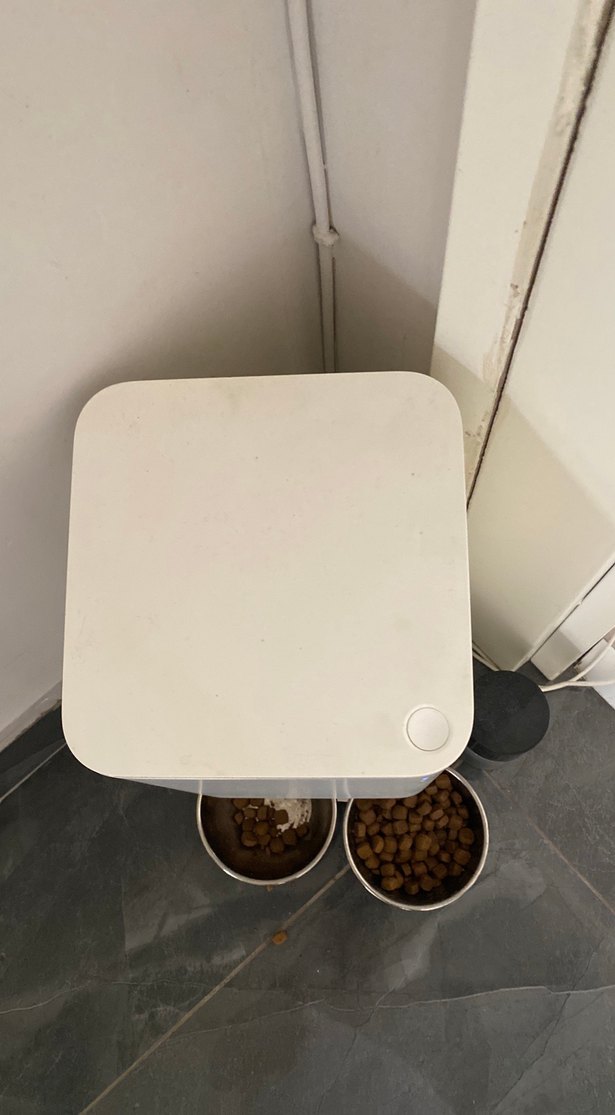 Otomatik Köpek Mama Kabı ve Besleyici - Görsel 3