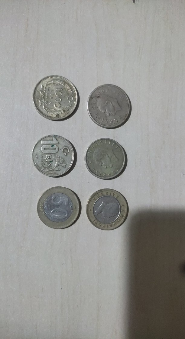 Gri Antika Türk Madeni Paralar Seti - Görsel 2