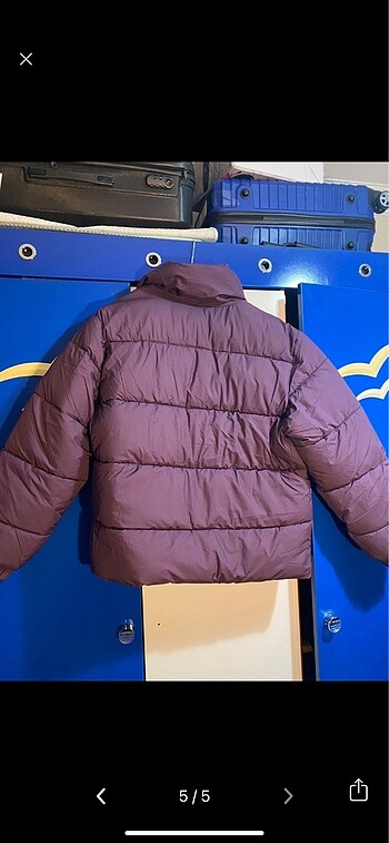 l Beden mor Renk H&M Mont