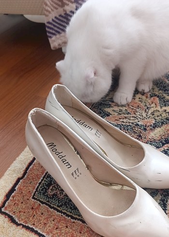 Beyaz Stiletto Topuklu Kadın Ayakkabı - Görsel 4