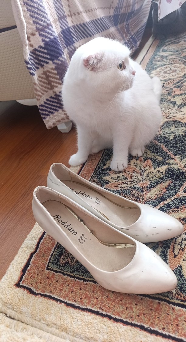 Beyaz Stiletto Topuklu Kadın Ayakkabı - Görsel 5