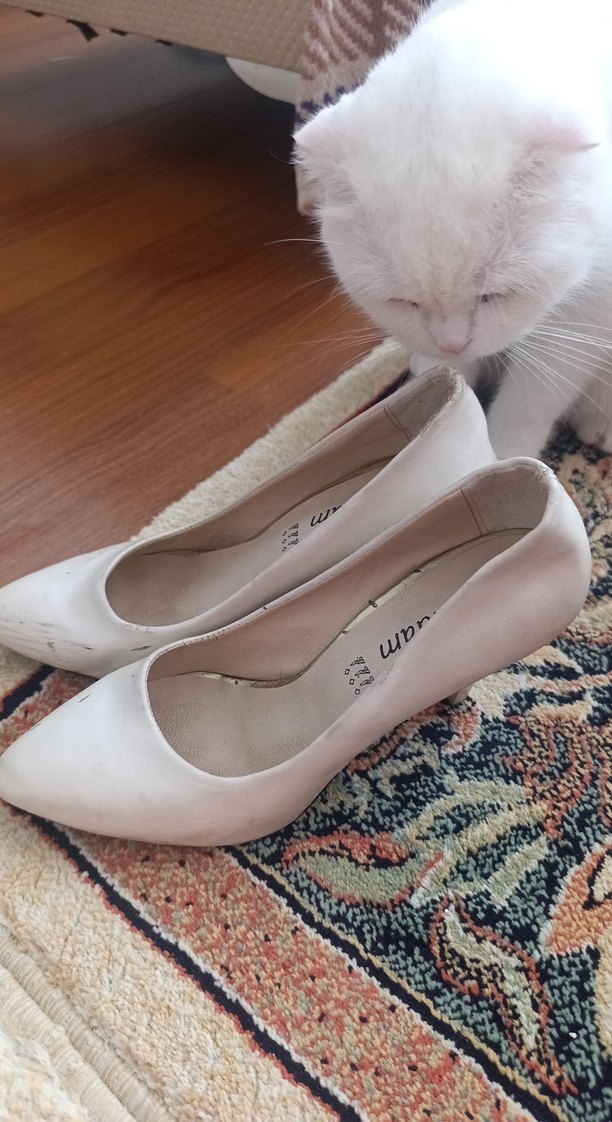 Beyaz Stiletto Topuklu Kadın Ayakkabı - Görsel 3