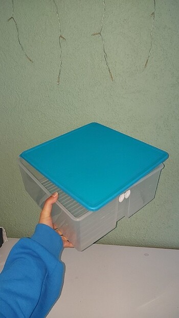 Tupperware sebzelik