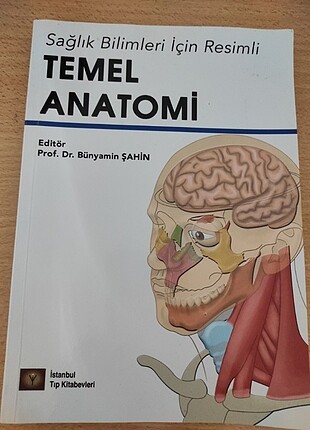 Temel anatomi