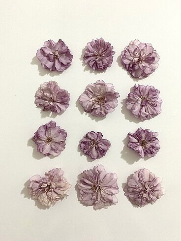 Kurutulmuş Çiçek (3 boyutlu sakura)