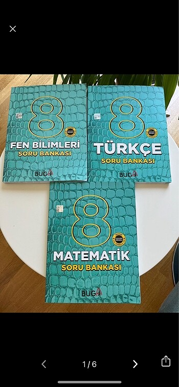8. sınıf Buga yayınları