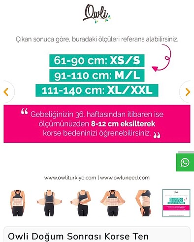 Owli korse - Görsel 5