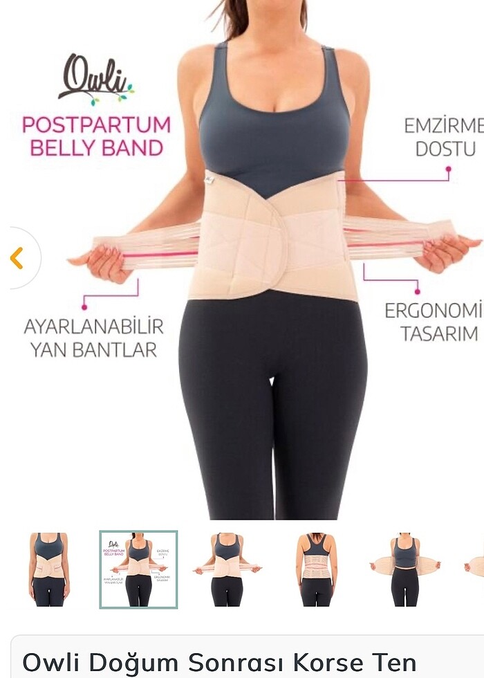 Owli korse - Görsel 2