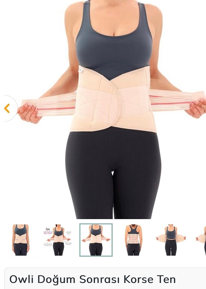 Owli korse - Görsel 3