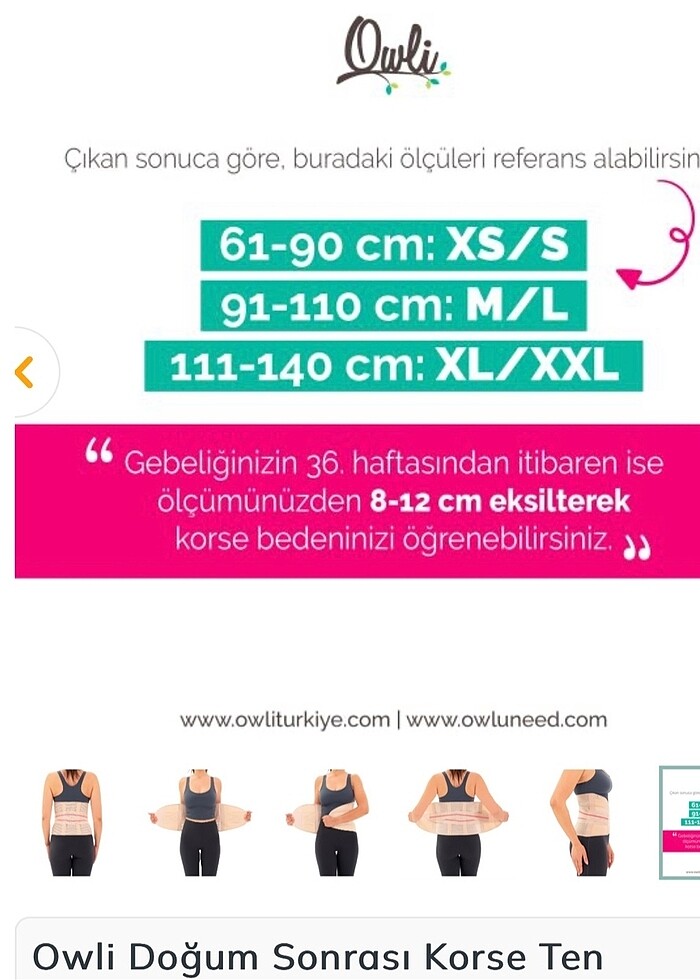 Owli korse - Görsel 5