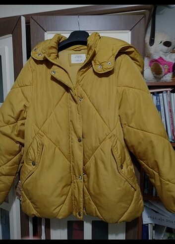 Zara mont