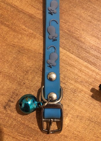 Renkli Mavi Kedi Tasması ve Bandana - Görsel 2