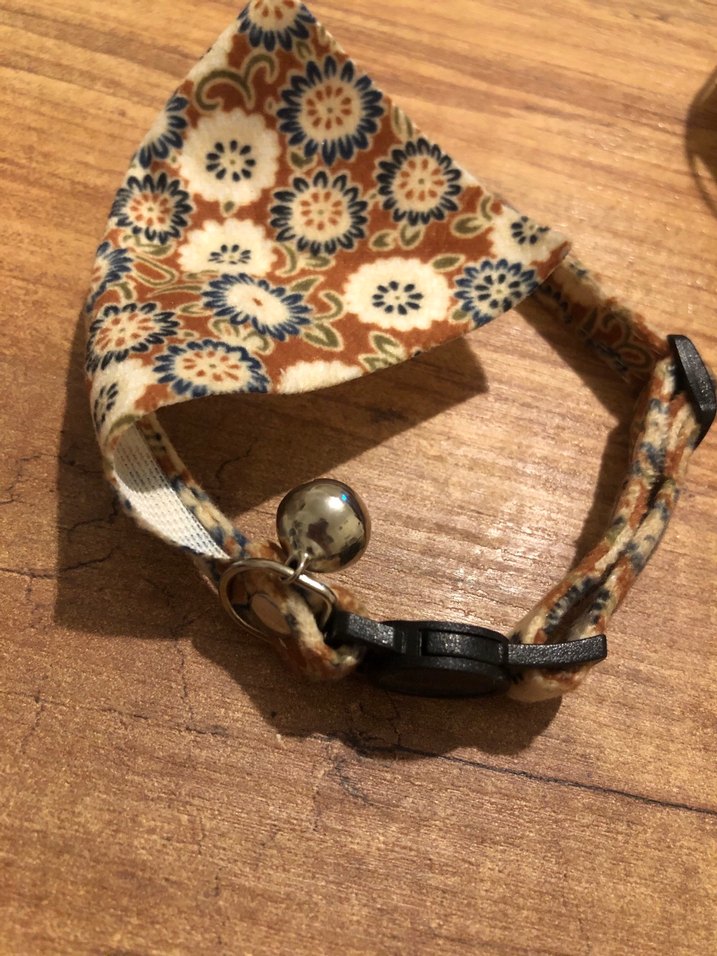 Renkli Mavi Kedi Tasması ve Bandana - Görsel 3